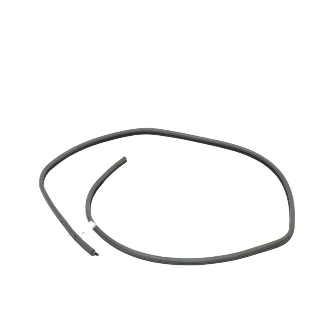 BMW E46 Tür Führungs Dichtung Vorne Links Gummi Dichtungs Streifen - SKU 8194695 - Teilenummer 8194695