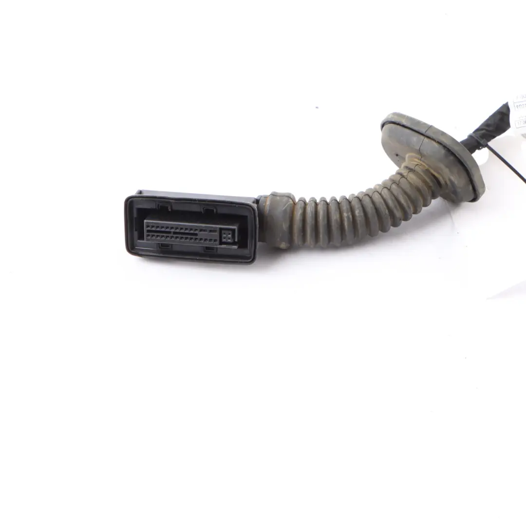 BMW X3 G01 F97 X4 G02 F98 Tür Verkabelung Kabelbaum Hinten Links Rechts - SKU 8793254 - Teilenummer 8793254