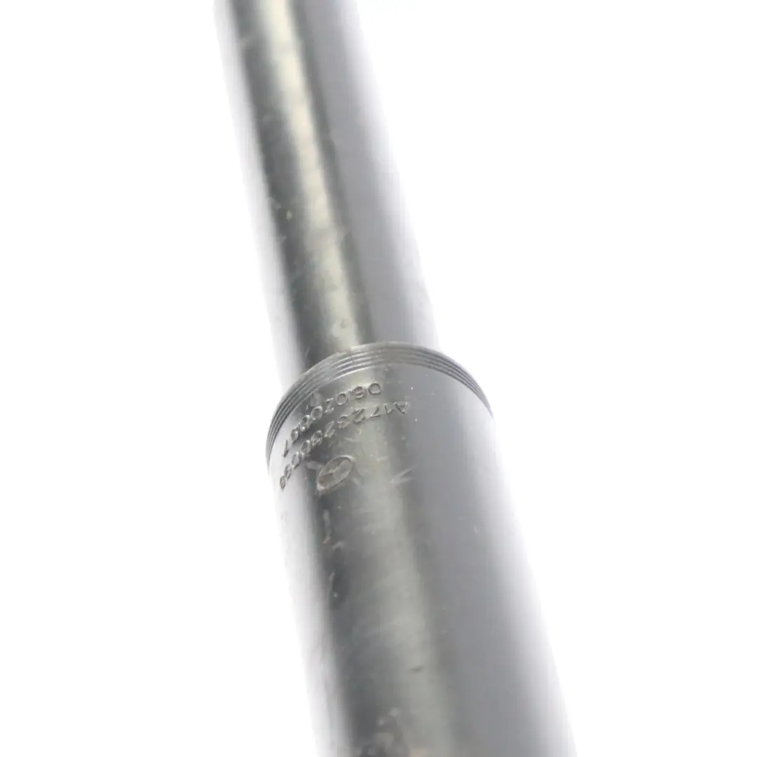 Puntone a molla posteriore sinistro destro per Mercedes SLK R172 con numero di parte A1723202830 Mercedes SLK R172 Puntone a molla posteriore sinistro destro - SKU a1723202830 - Numero di parte A1723202830