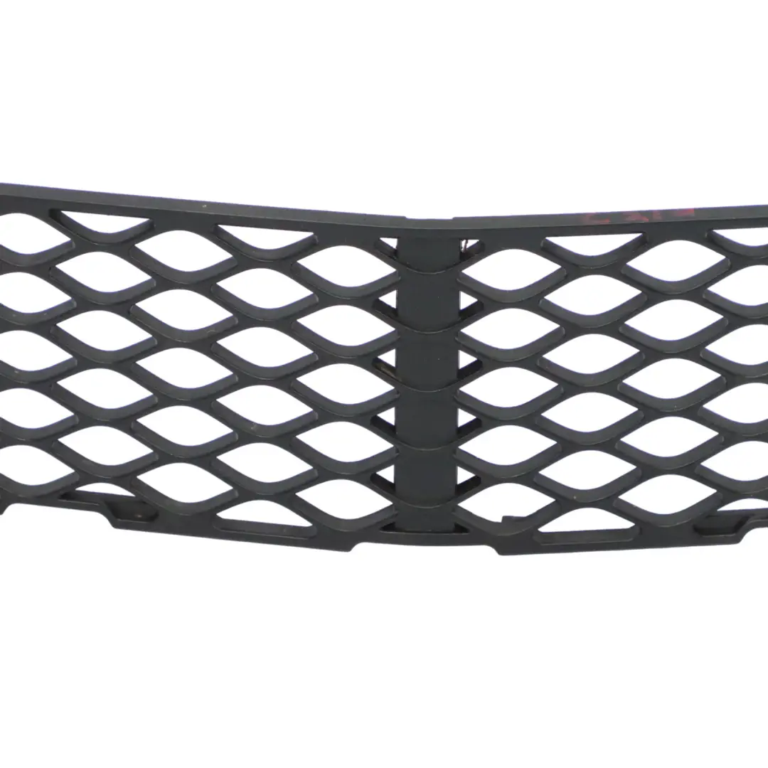 Mercedes C219 Stoßstangengrill vorne Mitte Gitter untere Verkleidung - SKU A2198850053 - Teilenummer A2198850053