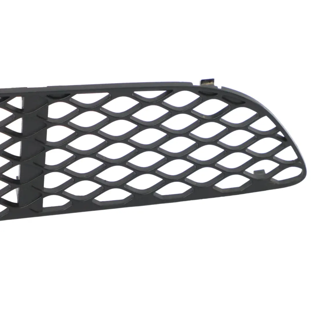 Mercedes C219 Stoßstangengrill vorne Mitte Gitter untere Verkleidung - SKU A2198850053 - Teilenummer A2198850053