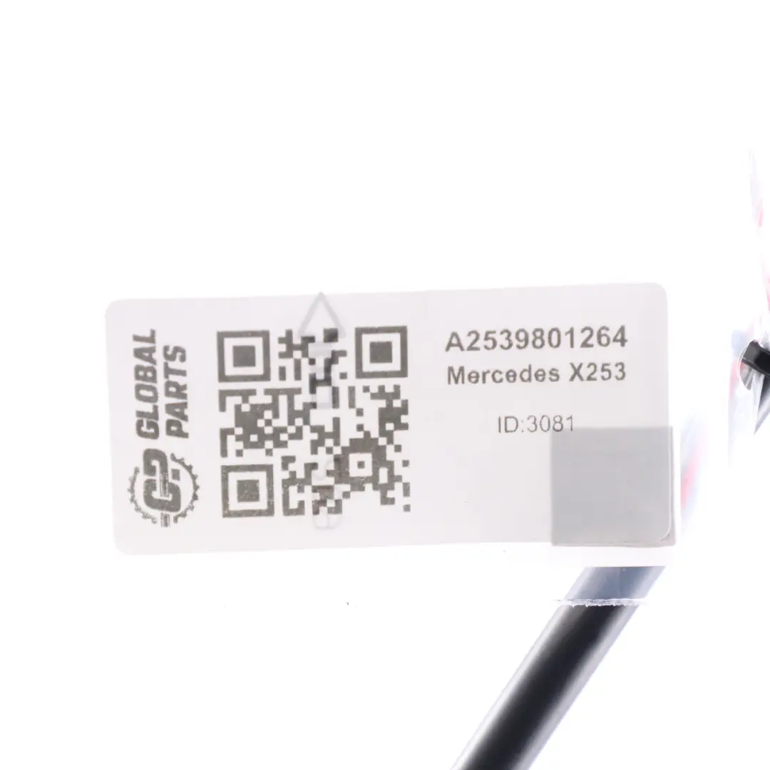  Puntone a gas del cofano Mercedes GLC X253 Molla pneumatica a gas cofano destra - SKU A2539801264 - Numero di parte A2539801264