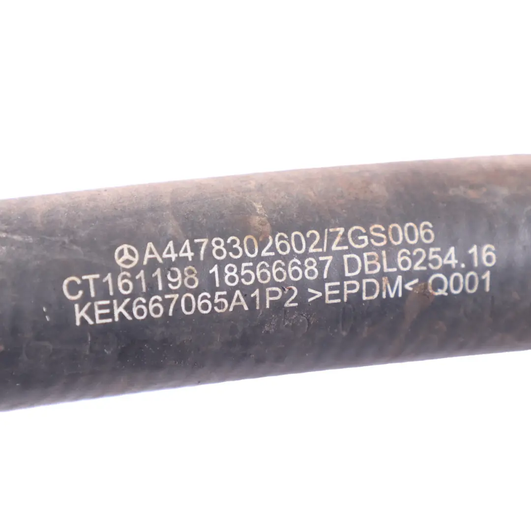 Wasser Kühlmittel Schlauch Kühlung Rohr leitung für Mercedes Vito W447 mit Teilenummer A4478323623 Mercedes Vito W447 Wasser Kühlmittel Schlauch Kühlung Rohr leitung - SKU A4478323623 - Teilenummer A4478323623