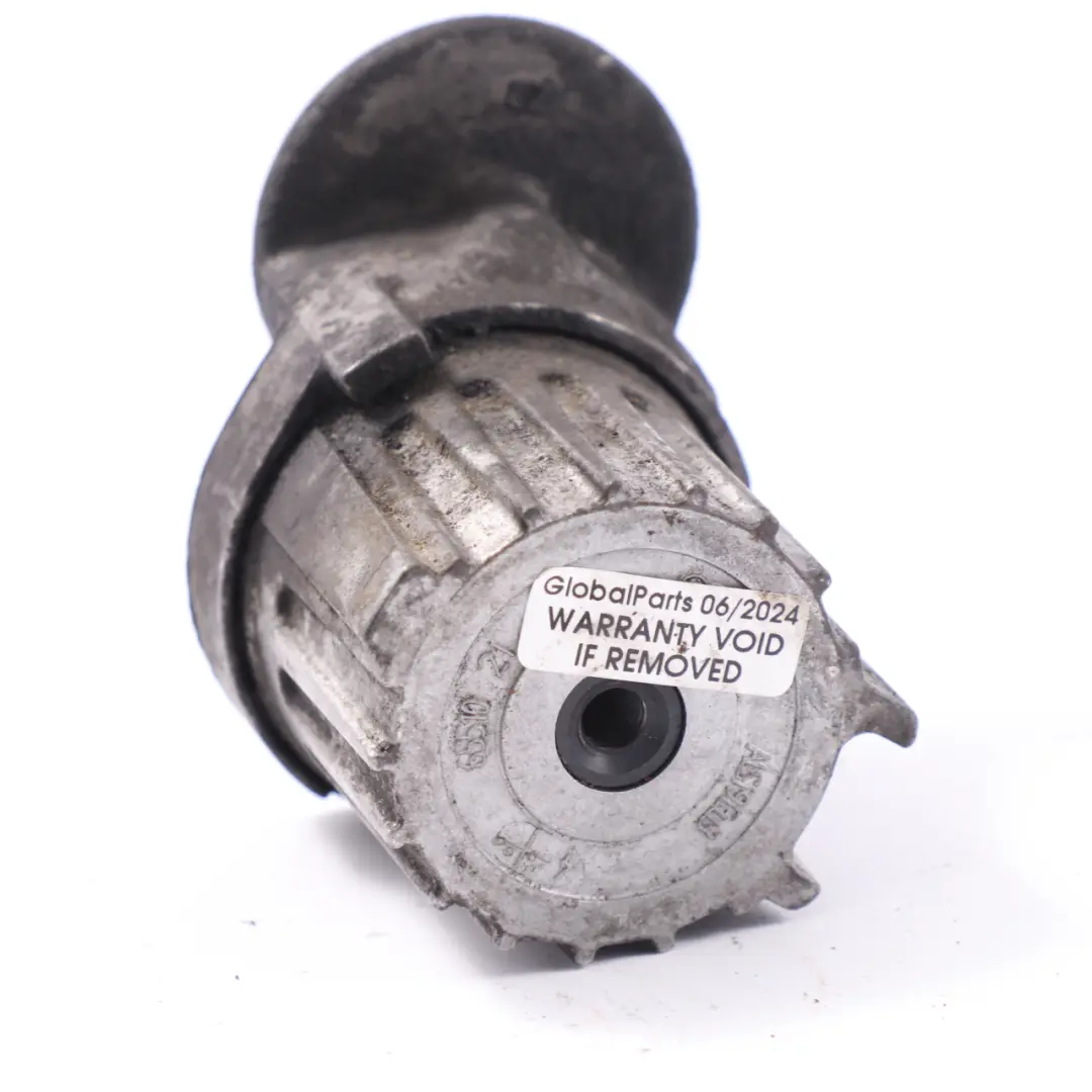 Tensor de correa Volkswagen Crafter 2.0 Tdi CKTB Diesel para con número de pieza 038903315AM Tensor de correa Volkswagen Crafter 2.0 Tdi CKTB Diesel - SKU 038903315AM - Número de pieza 038903315AM