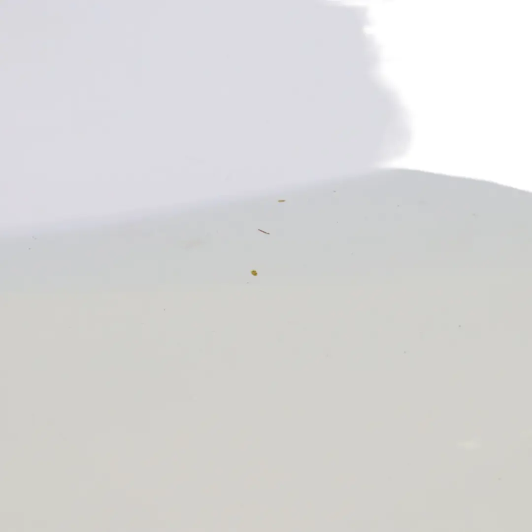 Pannello laterale anteriore destro Copri parafango bianco ghiaccio per Renault III con numero di parte 631001616 Renault III Pannello laterale anteriore destro Copri parafango bianco ghiaccio - SKU 631001616-ICW1 - Numero di parte 631001616