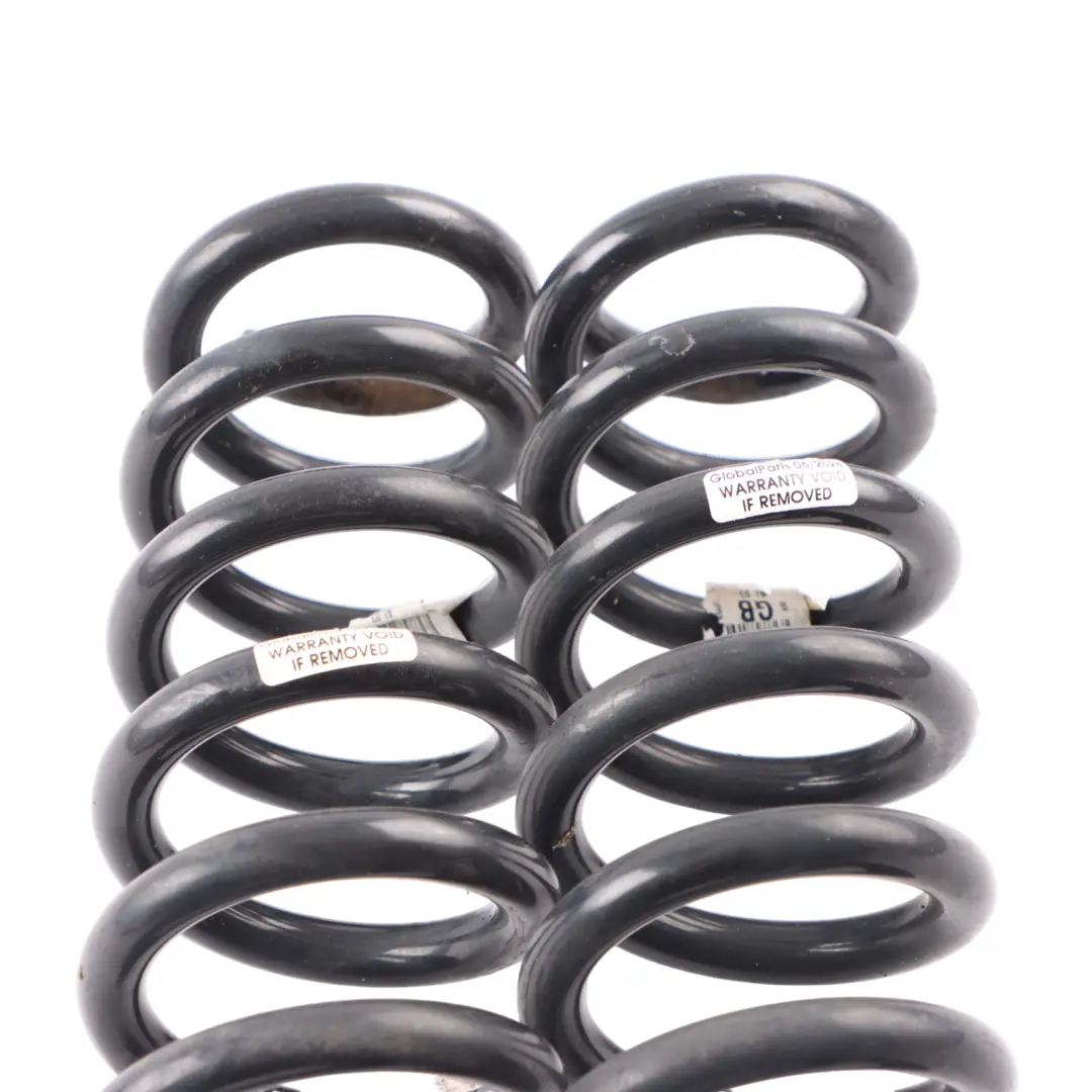 BMW F20 Suspension Coil Spring Rear Pair - SKU 6851927 - Part number 6851927