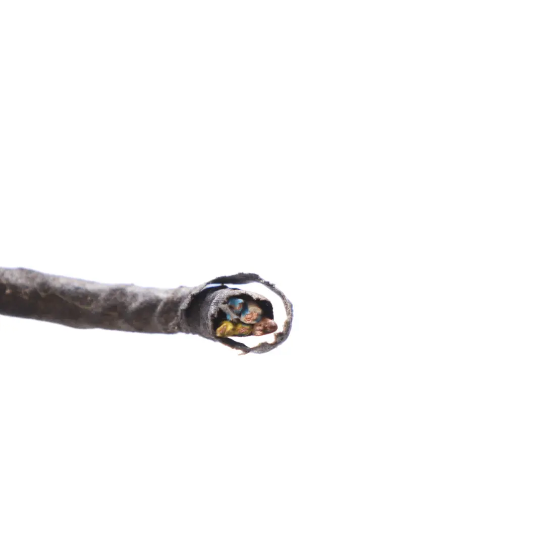 Cableado Del Conector De La Lámpara Faro Xenón Derecho para Mini R50 R52 R53 con número de pieza 6961354 Mini R50 R52 R53 Cableado Del Conector De La Lámpara Faro Xenón Derecho - SKU 6961354-1 - Número de pieza 6961354