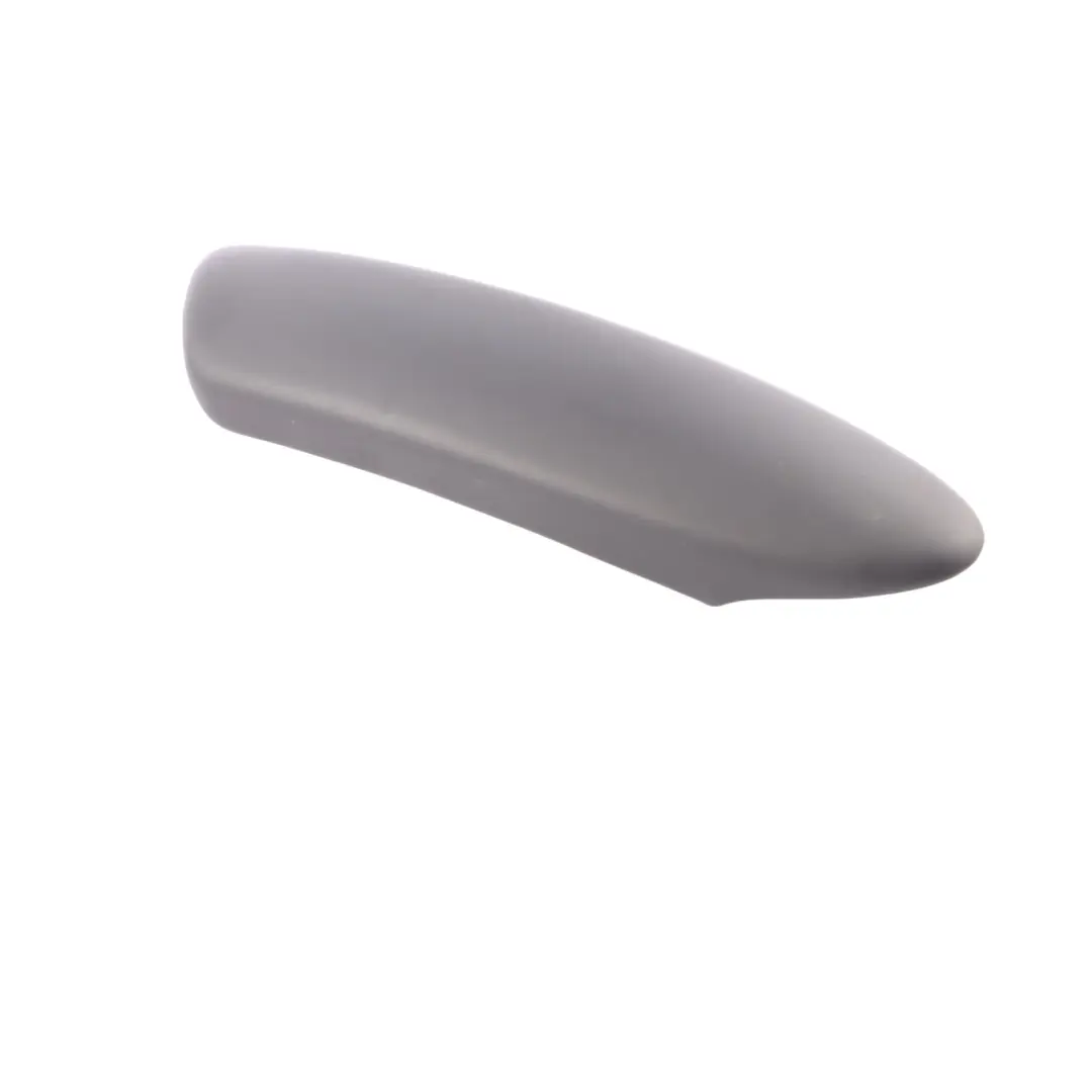 Mini R50 R52 R53 Front Right Door Card Trim O/S Leather Armrest Panther Black - SKU 7133508-1 - Part number 7133508