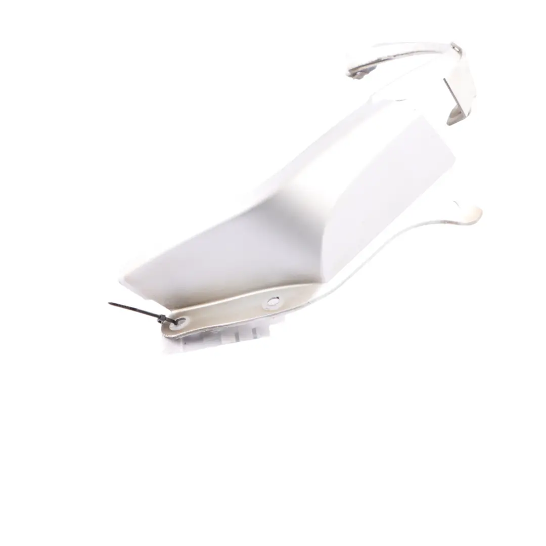 Frame Cover Light Rear Left N/S Titansilber Silver 7162125 to BMW Z4 E85 with Part number 0033347 BMW Z4 E85 Frame Cover Light Rear Left N/S Titansilber Silver 7162125 - SKU 0033347-TS - Part number 0033347