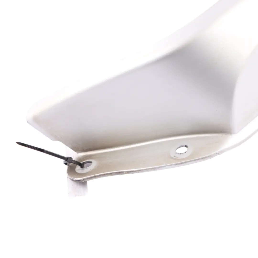 Frame Cover Light Rear Left N/S Titansilber Silver 7162125 to BMW Z4 E85 with Part number 0033347 BMW Z4 E85 Frame Cover Light Rear Left N/S Titansilber Silver 7162125 - SKU 0033347-TS - Part number 0033347