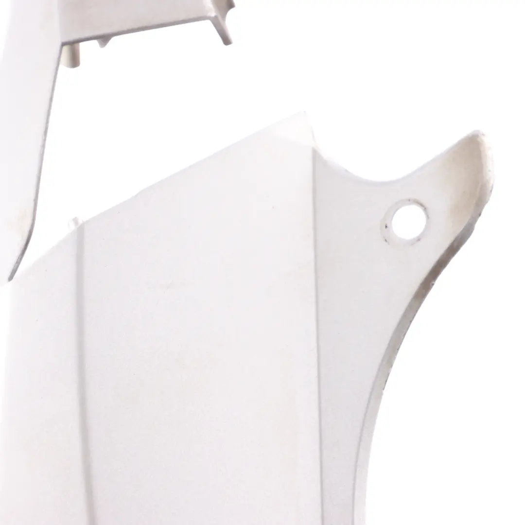 Frame Cover Light Rear Left N/S Titansilber Silver 7162125 to BMW Z4 E85 with Part number 0033347 BMW Z4 E85 Frame Cover Light Rear Left N/S Titansilber Silver 7162125 - SKU 0033347-TS - Part number 0033347