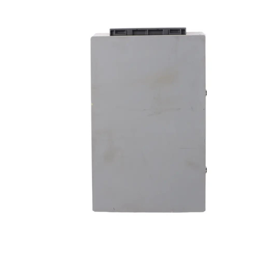 Ski Bag BMW E90 Rear Seat Ski Bag Cassette Tray Compartment Lemon to with Part number 7162674 Ski Bag BMW E90 Rear Seat Ski Bag Cassette Tray Compartment Lemon - SKU 7162674 - Part number 7162674