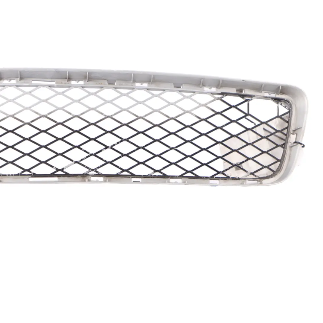 Vordere Untere Stoßstange Mitte Kühlergrill Zier Leiste für BMW X5 E70 mit Teilenummer 7163956 BMW X5 E70 Vordere Untere Stoßstange Mitte Kühlergrill Zier Leiste - SKU 7163956 - Teilenummer 7163956