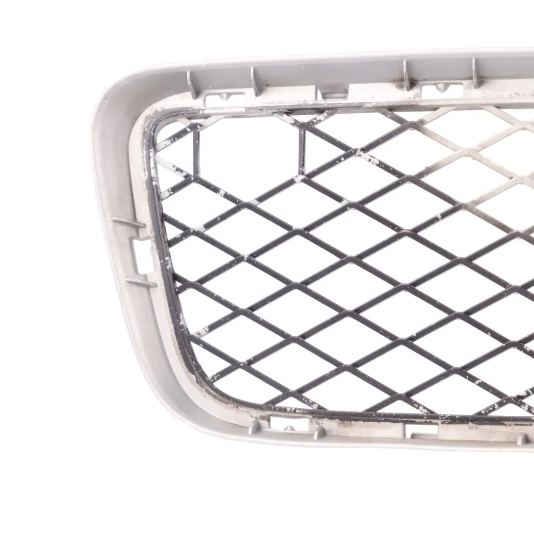 Vordere Untere Stoßstange Mitte Kühlergrill Zier Leiste für BMW X5 E70 mit Teilenummer 7163956 BMW X5 E70 Vordere Untere Stoßstange Mitte Kühlergrill Zier Leiste - SKU 7163956 - Teilenummer 7163956