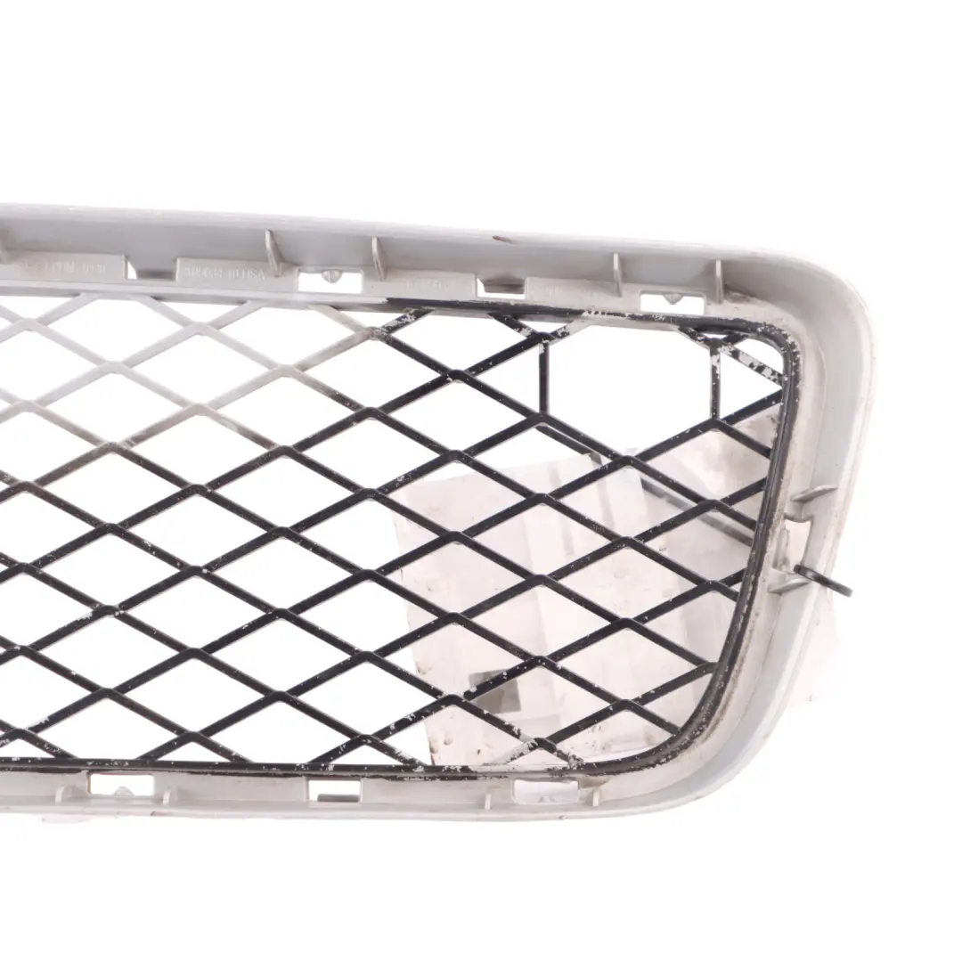 Vordere Untere Stoßstange Mitte Kühlergrill Zier Leiste für BMW X5 E70 mit Teilenummer 7163956 BMW X5 E70 Vordere Untere Stoßstange Mitte Kühlergrill Zier Leiste - SKU 7163956 - Teilenummer 7163956