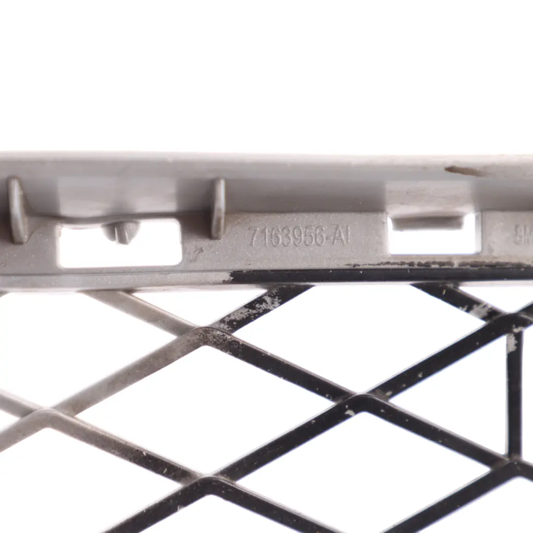 BMW X5 E70 Pare-chocs inférieur avant Moulage de calandre - SKU 7163956 - Numéro de pièce 7163956