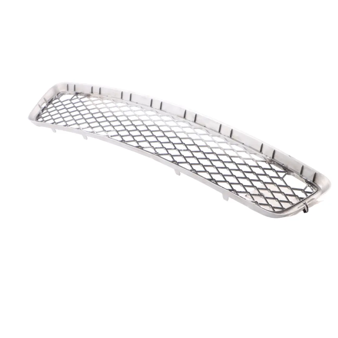 BMW X5 E70 Front Lower Bumper Center Grille Molding - SKU 7163956 - Part number 7163956