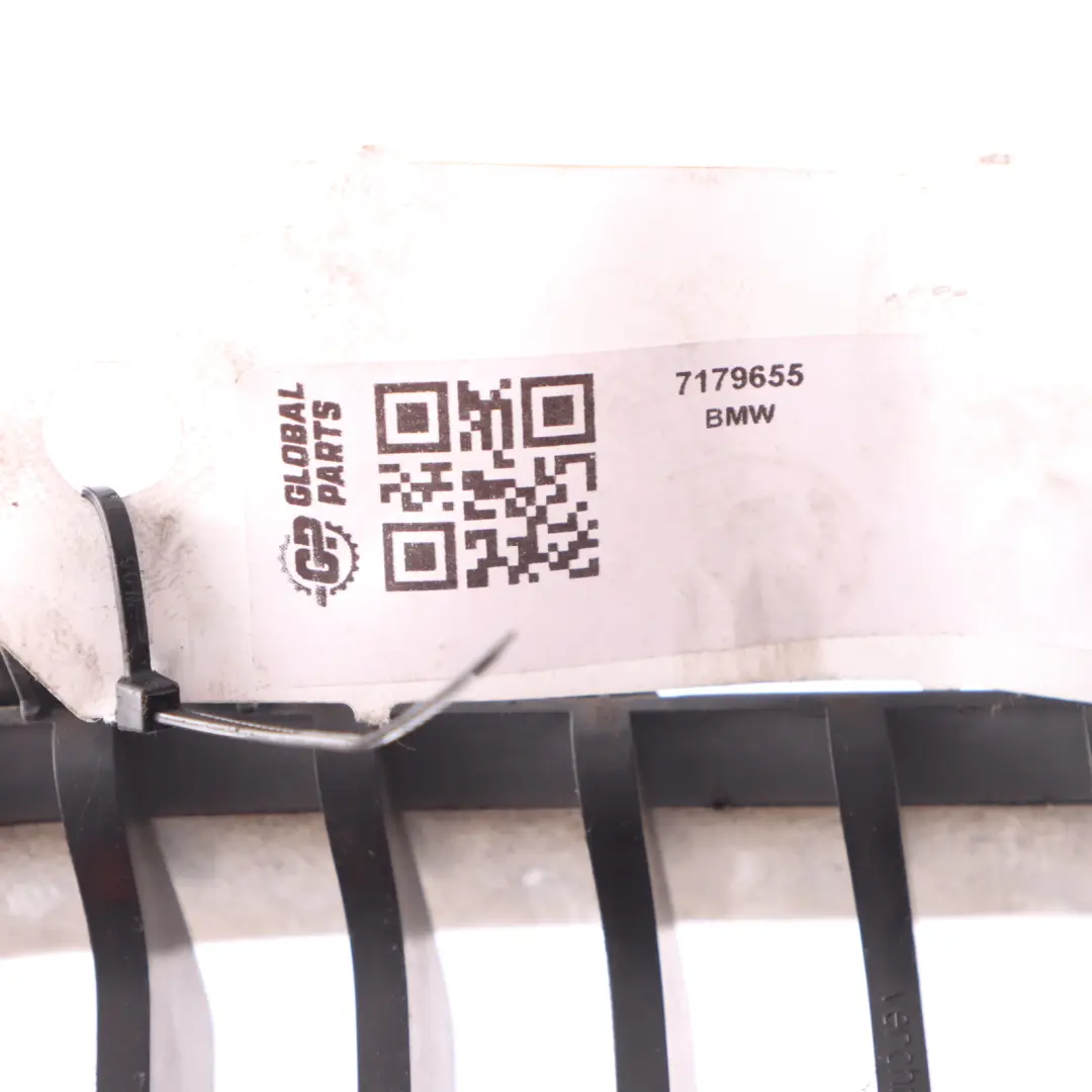 Nerka Grill Atrapa Kratka Przód Lewy Chrom do BMW E81 E87 LCI o numerze 7179655 BMW E81 E87 LCI Nerka Grill Atrapa Kratka Przód Lewy Chrom - SKU 7179655 - Numer Części 7179655