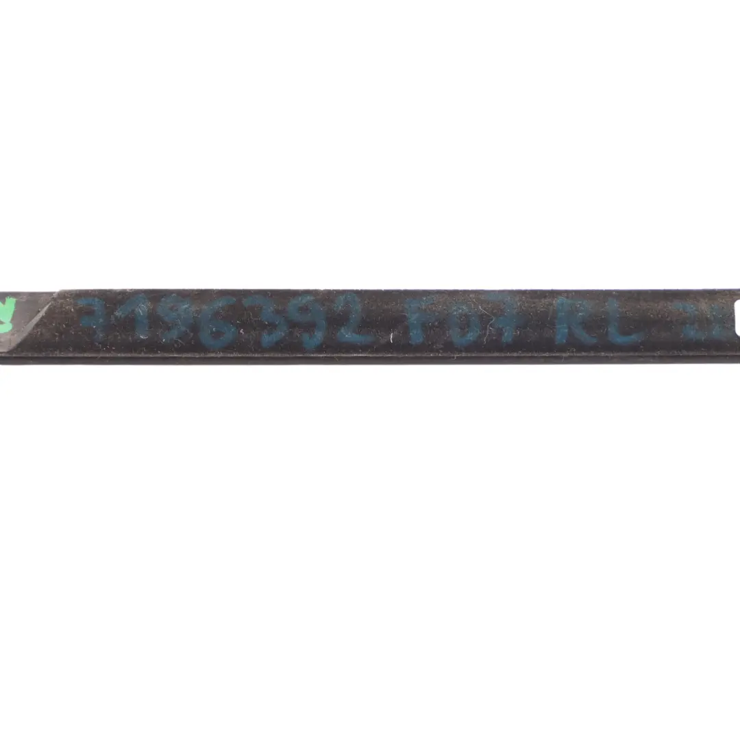 BMW F07 Canal Exterior Puerta Trasera Tapa Larga Derecha - SKU 7196392 - Número de pieza 7196392
