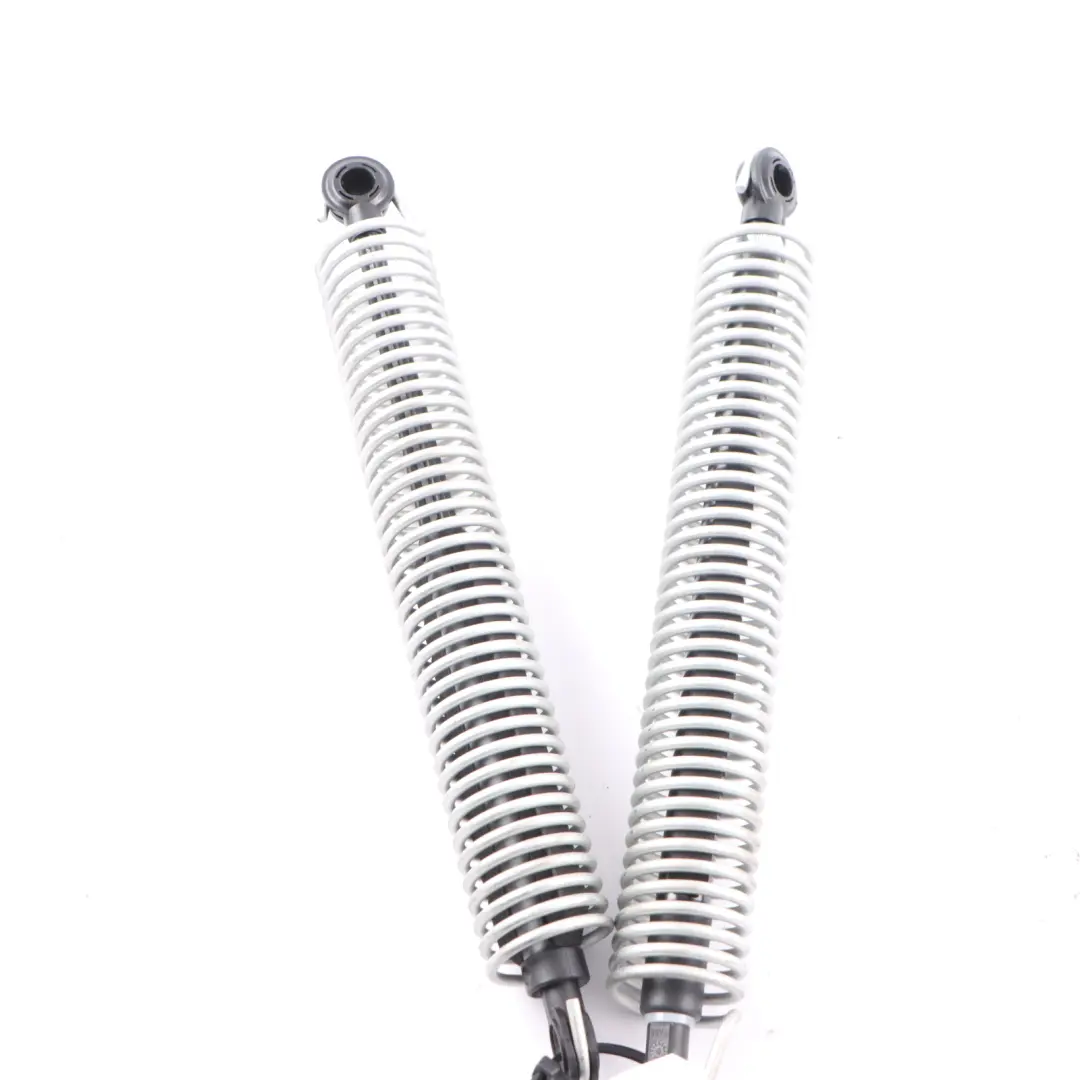 BMW F10 Tension Return Spring Links Kofferraumdeckel Heckklappe - SKU 7204366-1 - Teilenummer 7204366
