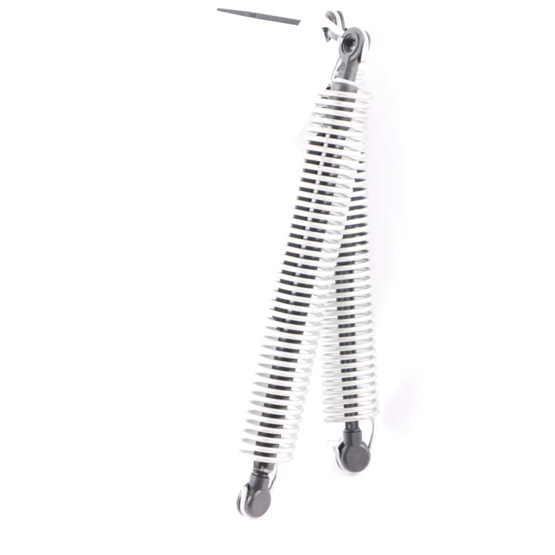 BMW F10 Tension Return Spring Links Kofferraumdeckel Heckklappe - SKU 7204366-1 - Teilenummer 7204366