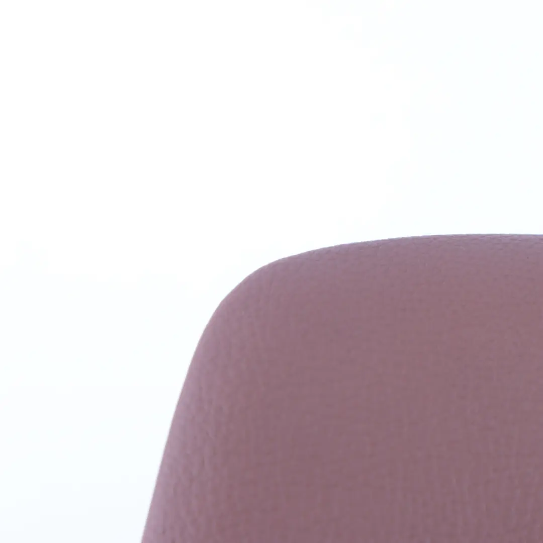 BMW X5 E53 Seat Headrest Front Left Right N/O/S Seat Cover Light Brown Leather - SKU 7234970 - Part number 7234970