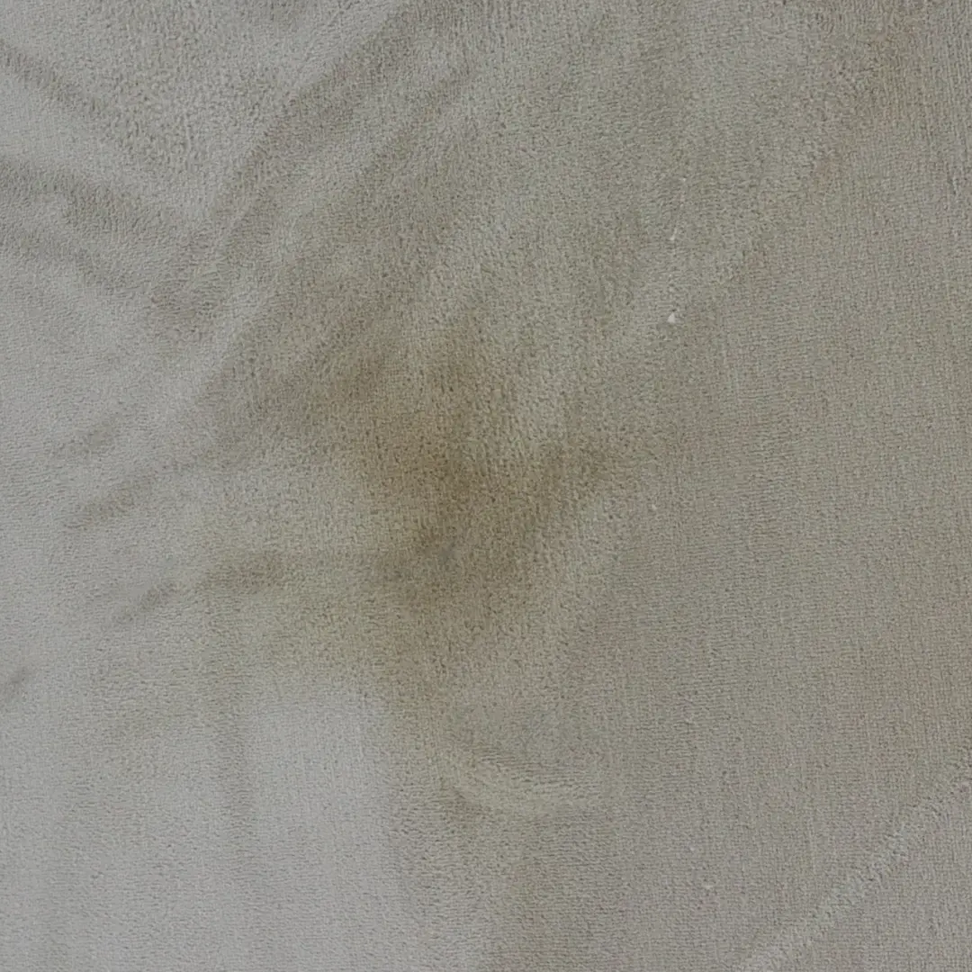 Stivale Tronco Pavimento Tappeto Bagagliaio Beige per BMW X5 E70 1 con numero di parte 7253870 BMW X5 E70 1 Stivale Tronco Pavimento Tappeto Bagagliaio Beige - SKU 7253870-1 - Numero di parte 7253870