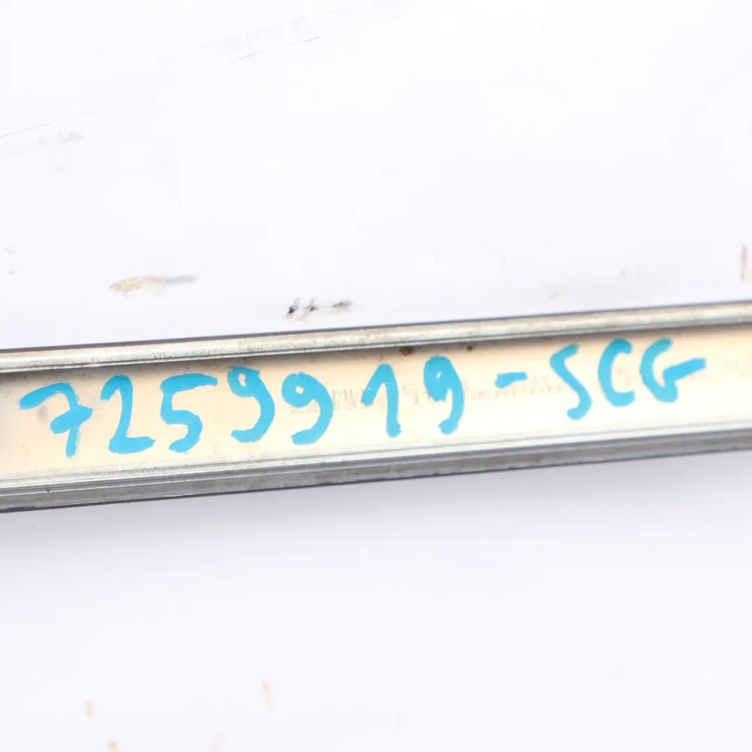 Roof Railing Trim BMW F07 GT Left N/S Moulding Gutter Strip Space Grey Metallic to with Part number 7259919 Roof Railing Trim BMW F07 GT Left N/S Moulding Gutter Strip Space Grey Metallic - SKU 7259919-SCG - Part number 7259919