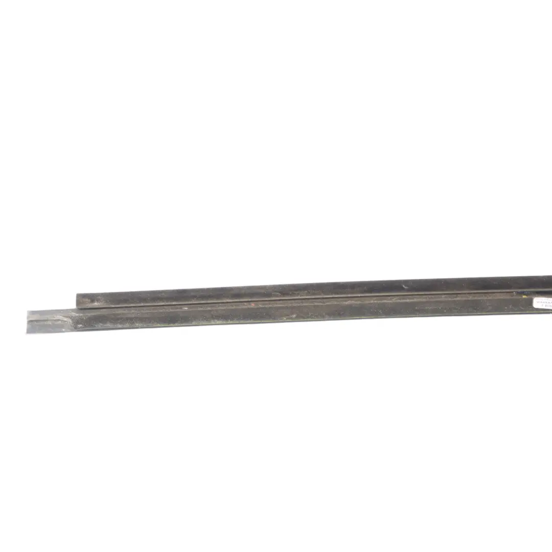 BMW F34 Window Molding Front Right O/S Door - SKU 7289979 - Part number 7289979