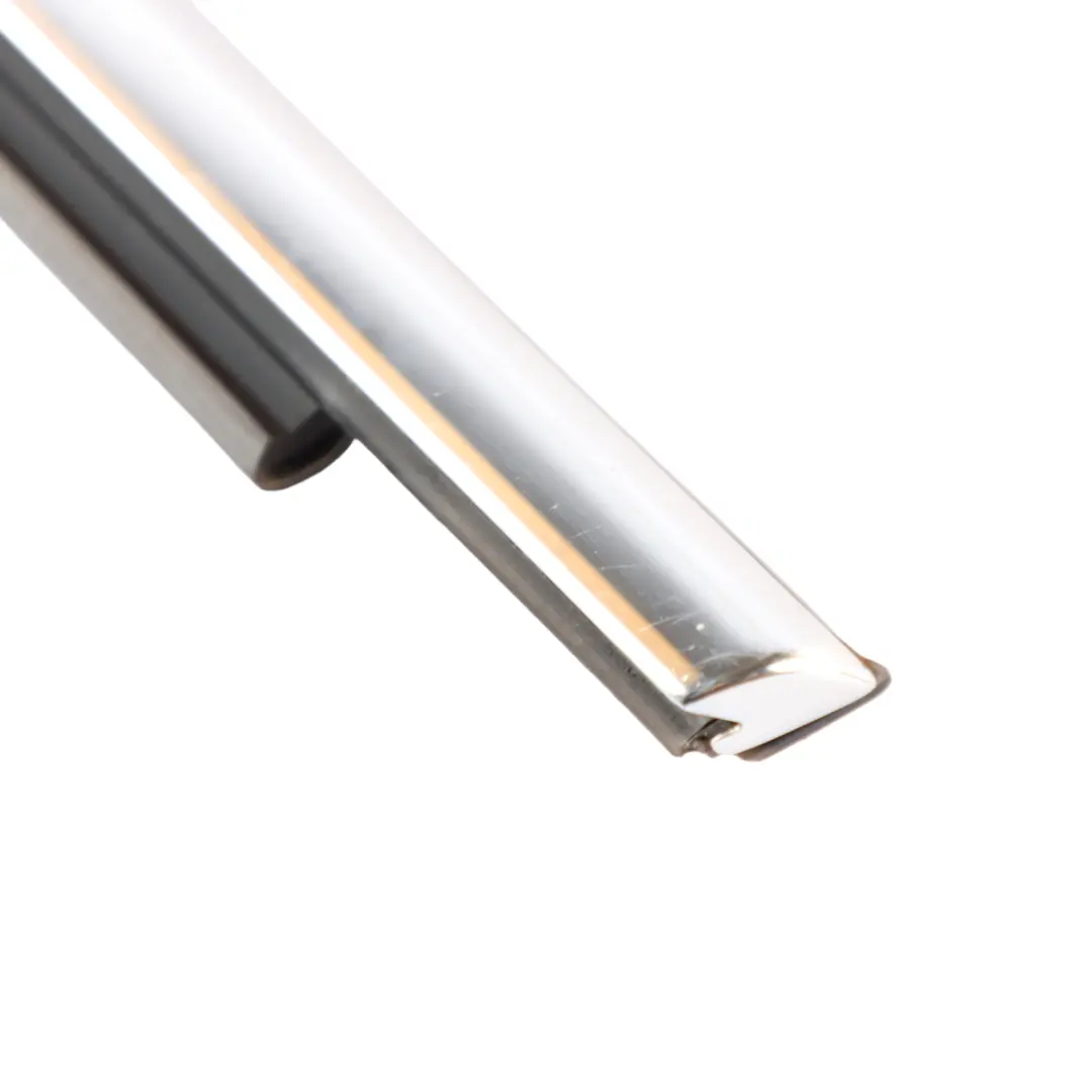 BMW F34 Window Molding Front Right O/S Door - SKU 7289979 - Part number 7289979