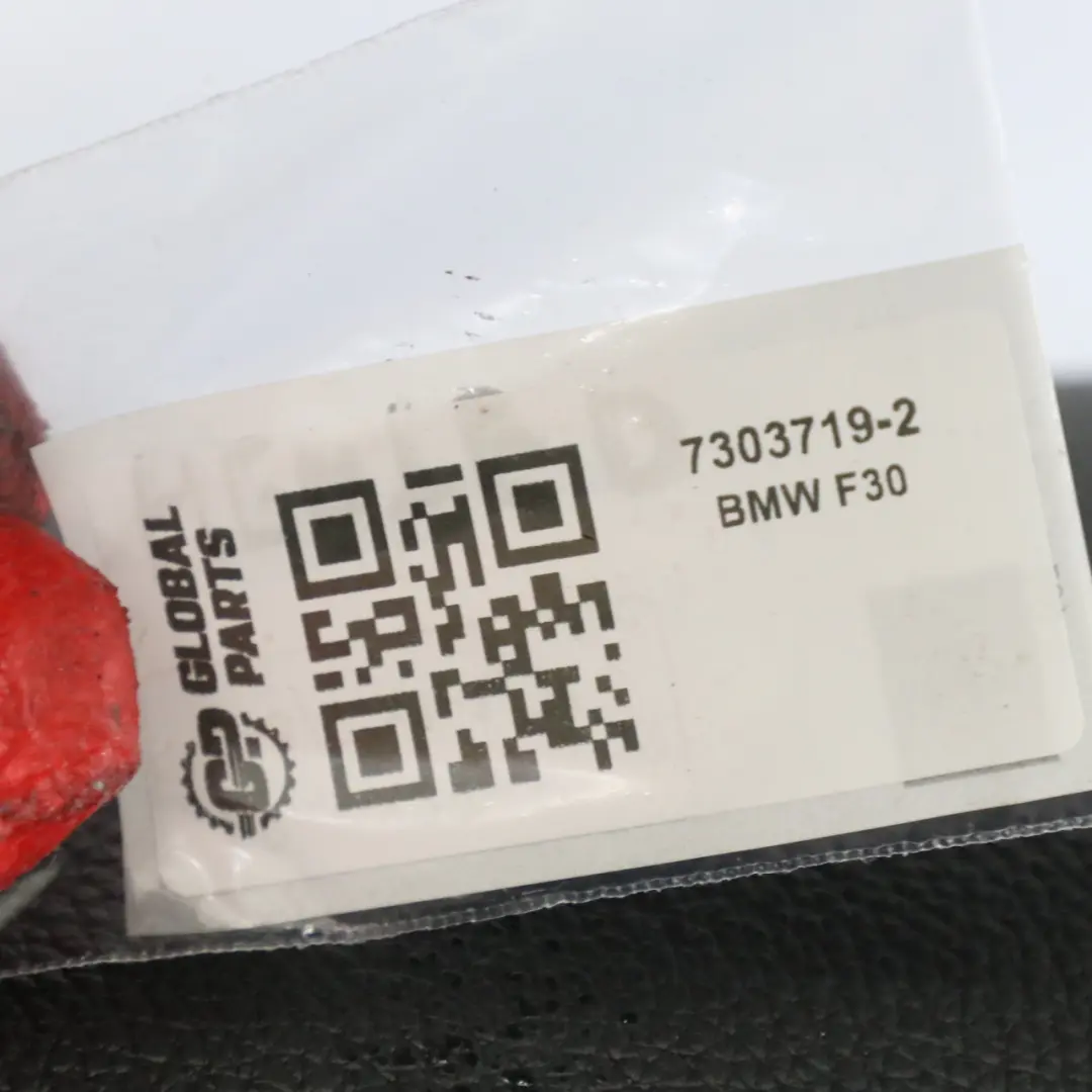  Schienale BMW F30 F34 GT anteriore sinistro riscaldato Copertura pelle Dakota - SKU 7303719 - Numero di parte 7303719