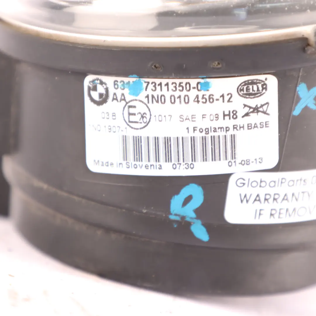 BMW X6 E71 Luz Antiniebla Parachoques Delantero Derecho - SKU 7311350 - Número de pieza 7311350