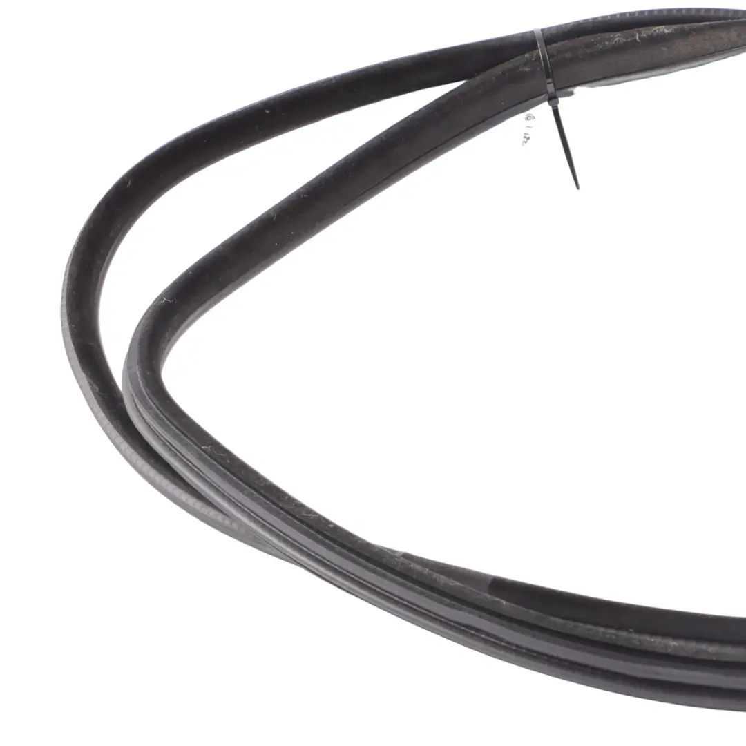 Protezione Bordo Porta Guarnizione Anteriore Nero per BMW X6 F16 F86 con numero di parte 7317811 BMW X6 F16 F86 Protezione Bordo Porta Guarnizione Anteriore Nero - SKU 7317811 - Numero di parte 7317811