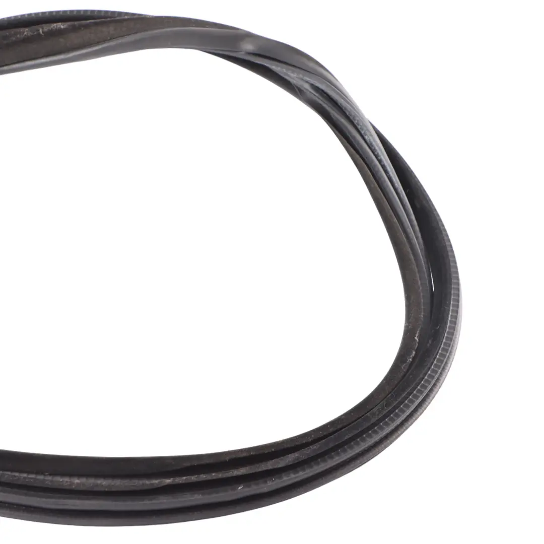 Protezione Bordo Porta Guarnizione Anteriore Nero per BMW X6 F16 F86 con numero di parte 7317811 BMW X6 F16 F86 Protezione Bordo Porta Guarnizione Anteriore Nero - SKU 7317811 - Numero di parte 7317811