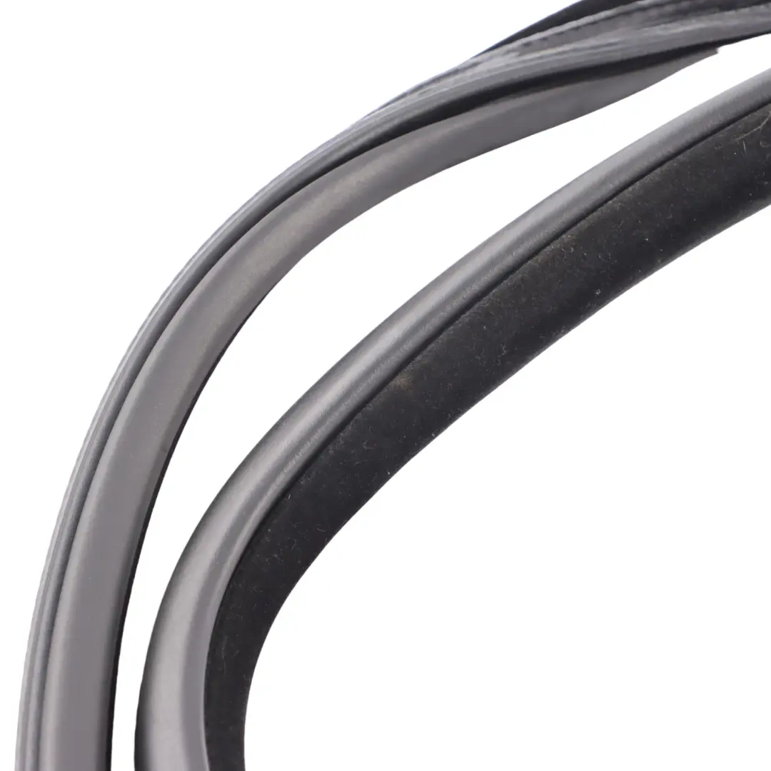  Protección de cantos BMW X6 F16 F86 Junta de puerta trasera izquierda derecha - SKU 7317812 - Número de pieza 7317812