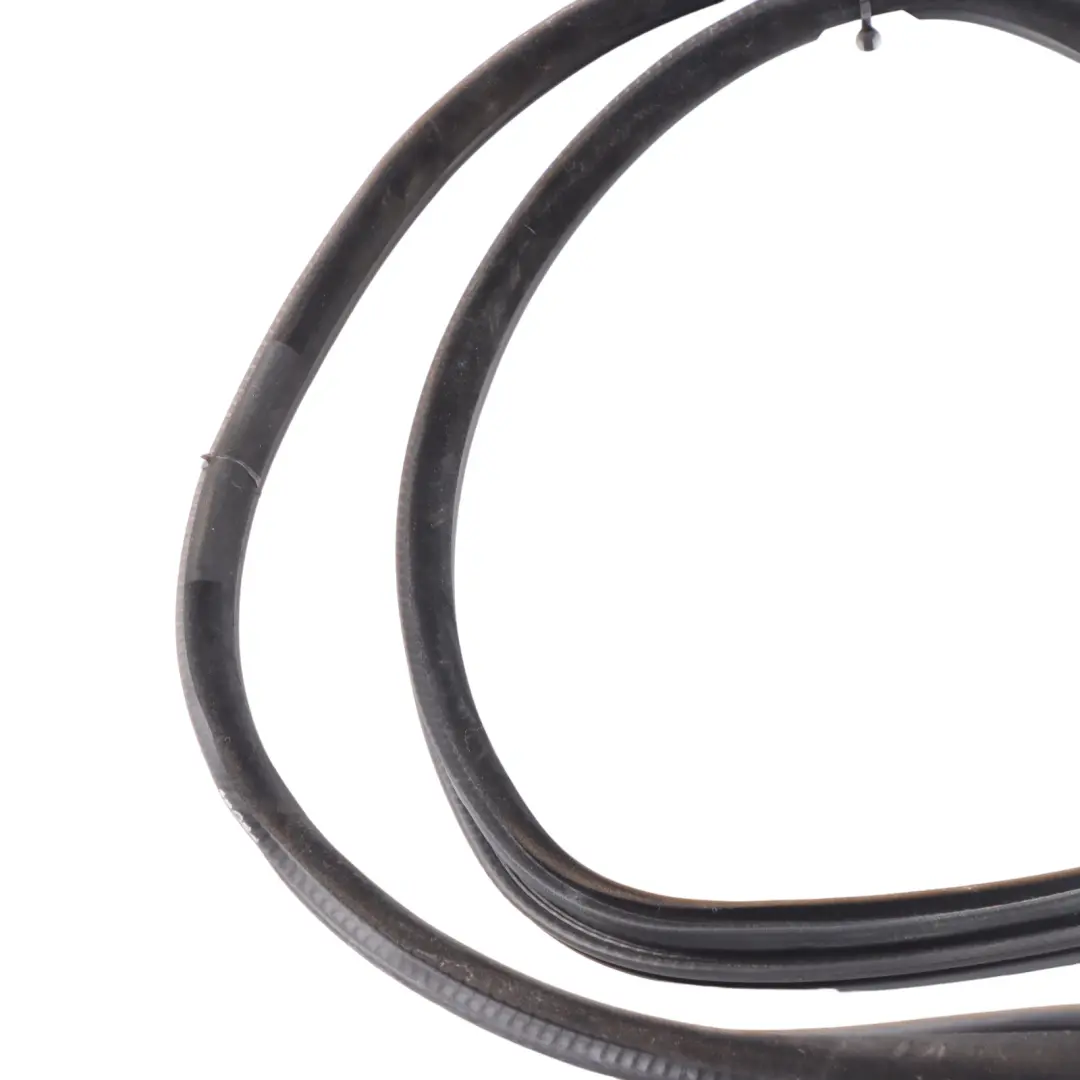  Protezione bordi BMW X6 F16 F86 Guarnizione porta posteriore sinistra destra - SKU 7317812 - Numero di parte 7317812