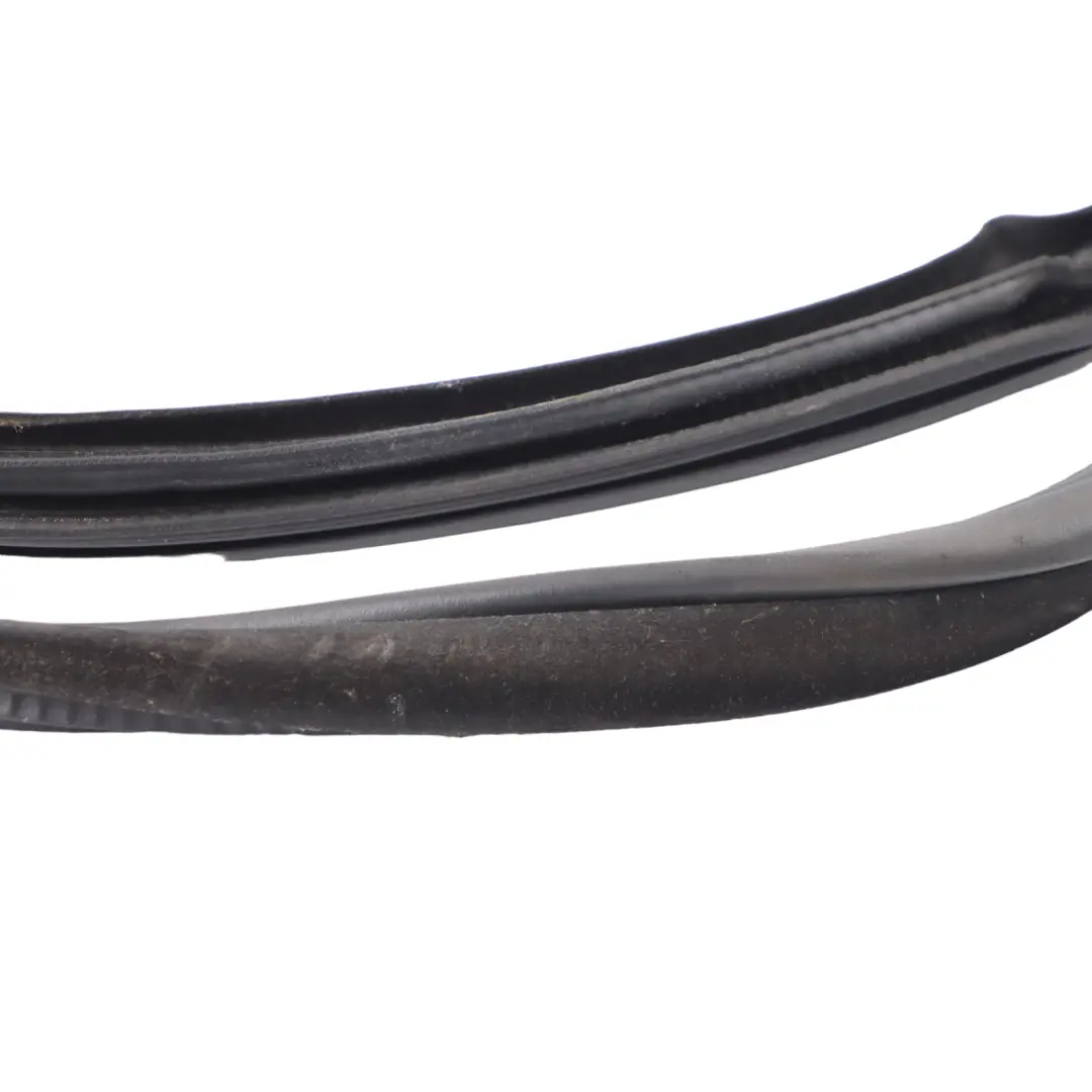  Protezione bordi BMW X6 F16 F86 Guarnizione porta posteriore sinistra destra - SKU 7317812 - Numero di parte 7317812