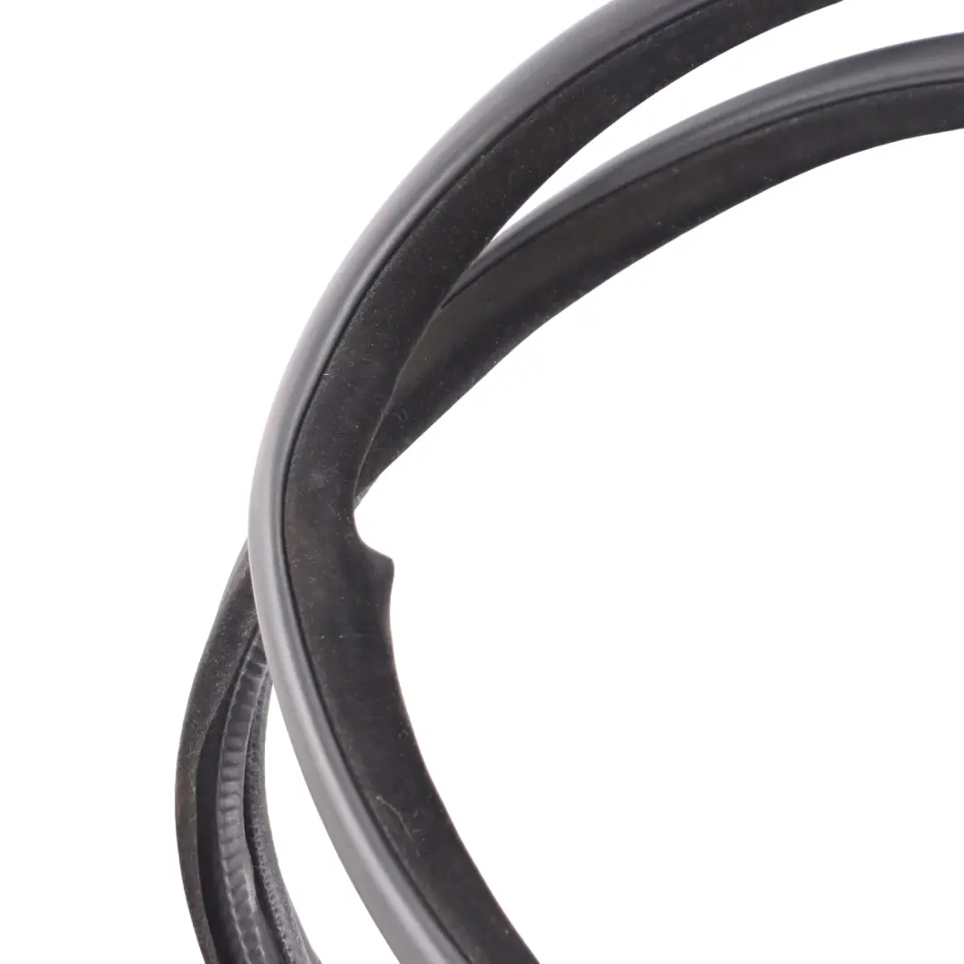 Edge Protection BMW X6 F16 F86 Door Seal Rear Left Right N/O/S Gasket - SKU 7317812 - Part number 7317812