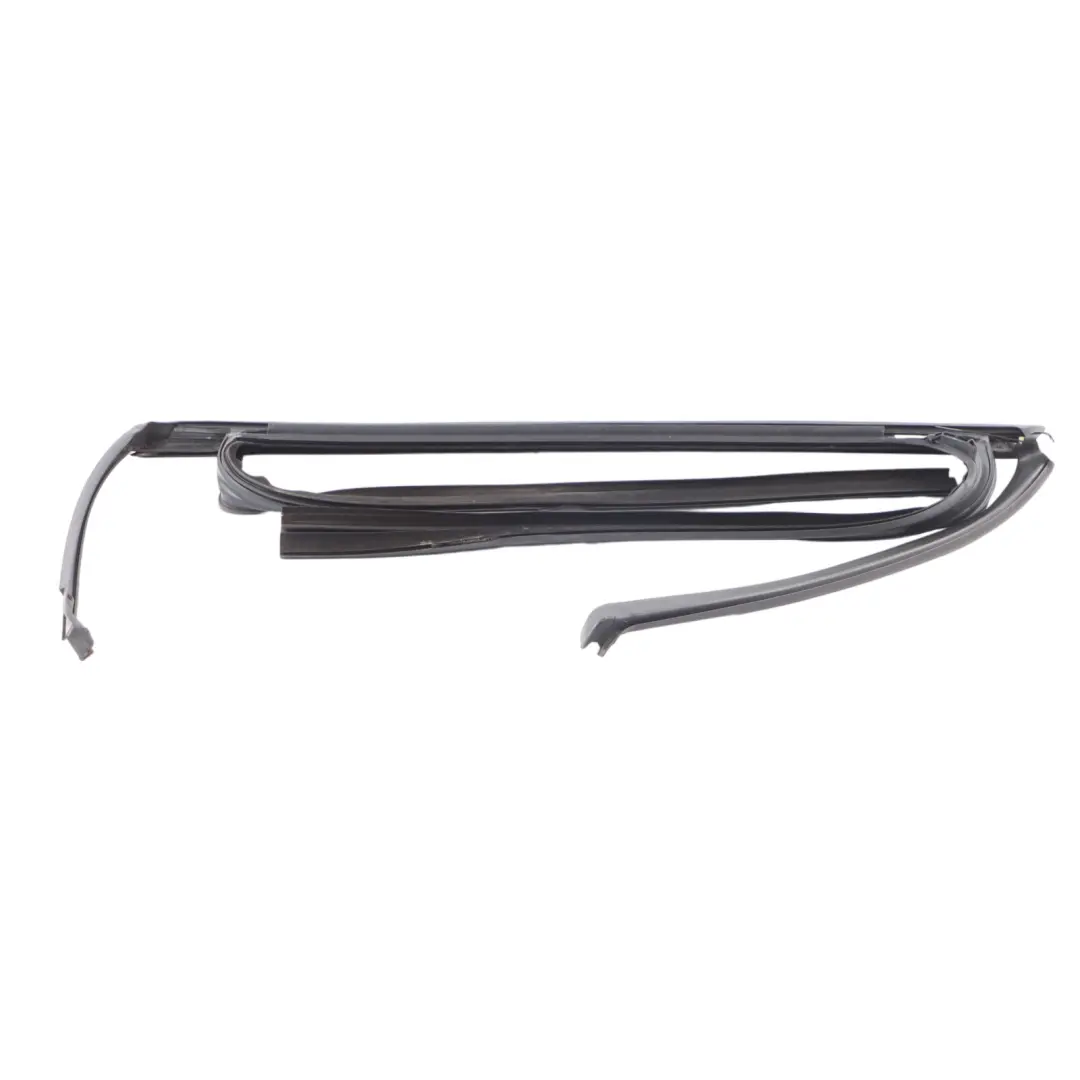 BMW X6 F16 F86 Finestra Striscia Trim Porta Posteriore Sinistra - SKU 7317813 - Numero di parte 7317813