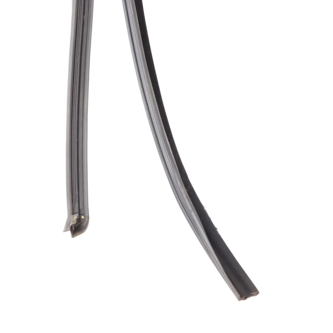 BMW X6 F16 F86 Garniture De Vitre Arrière Gauche Moulure D'Étanchéité - SKU 7317813 - Numéro de pièce 7317813