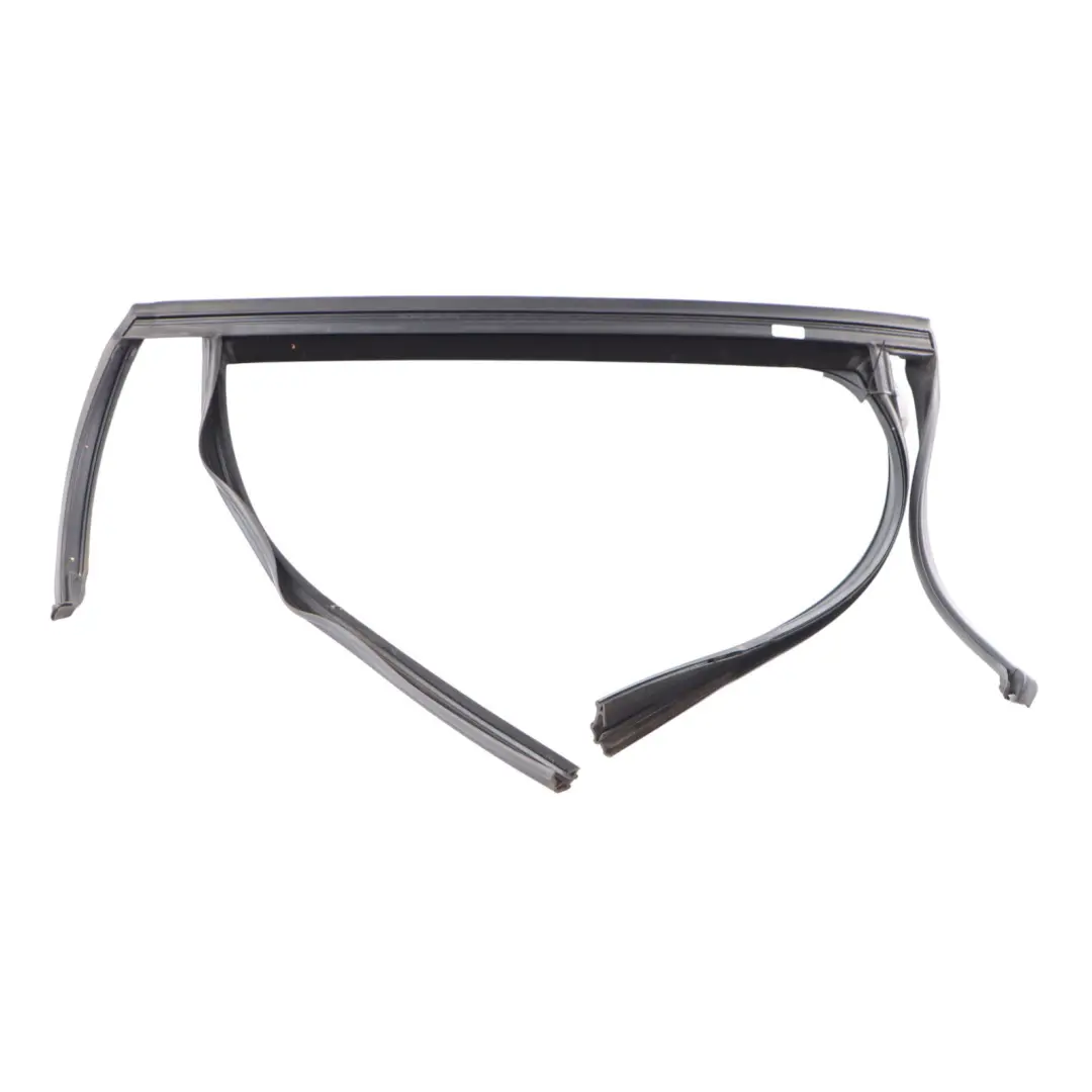 BMW X6 F16 F86 Door Seal Window Guide Rear Right O/S Sealing Rubber Gasket - SKU 7317814 - Part number 7317814