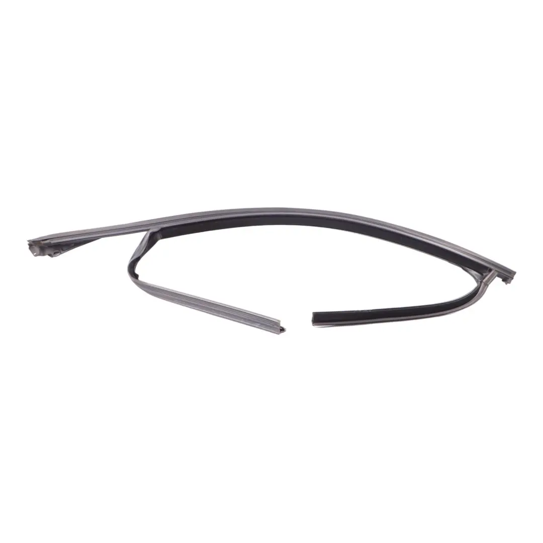 BMW X6 F16 F86 Window Strip Trim Door Front Right O/S Moulding Sealing - SKU 7317819 - Part number 7317819