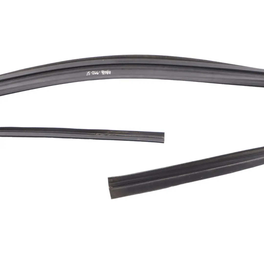 Finestra Striscia Trim Porta Anteriore Destra Modanatura per BMW X6 F16 F86 con numero di parte 7317819 BMW X6 F16 F86 Finestra Striscia Trim Porta Anteriore Destra Modanatura - SKU 7317819 - Numero di parte 7317819
