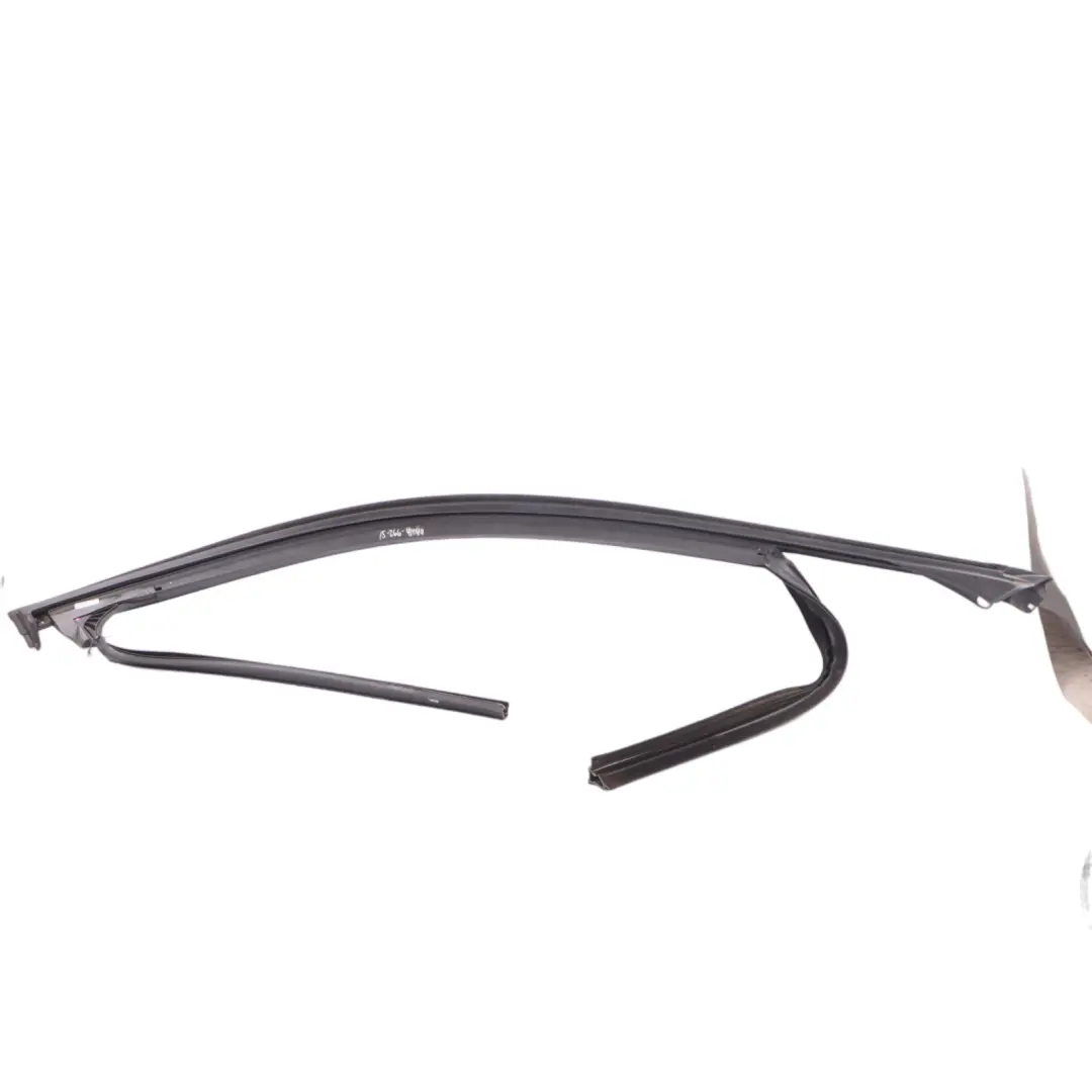BMW X6 F16 F86 Bande habillage fenêtre Porte avant droite Moulure étanchéité - SKU 7317819 - Numéro de pièce 7317819