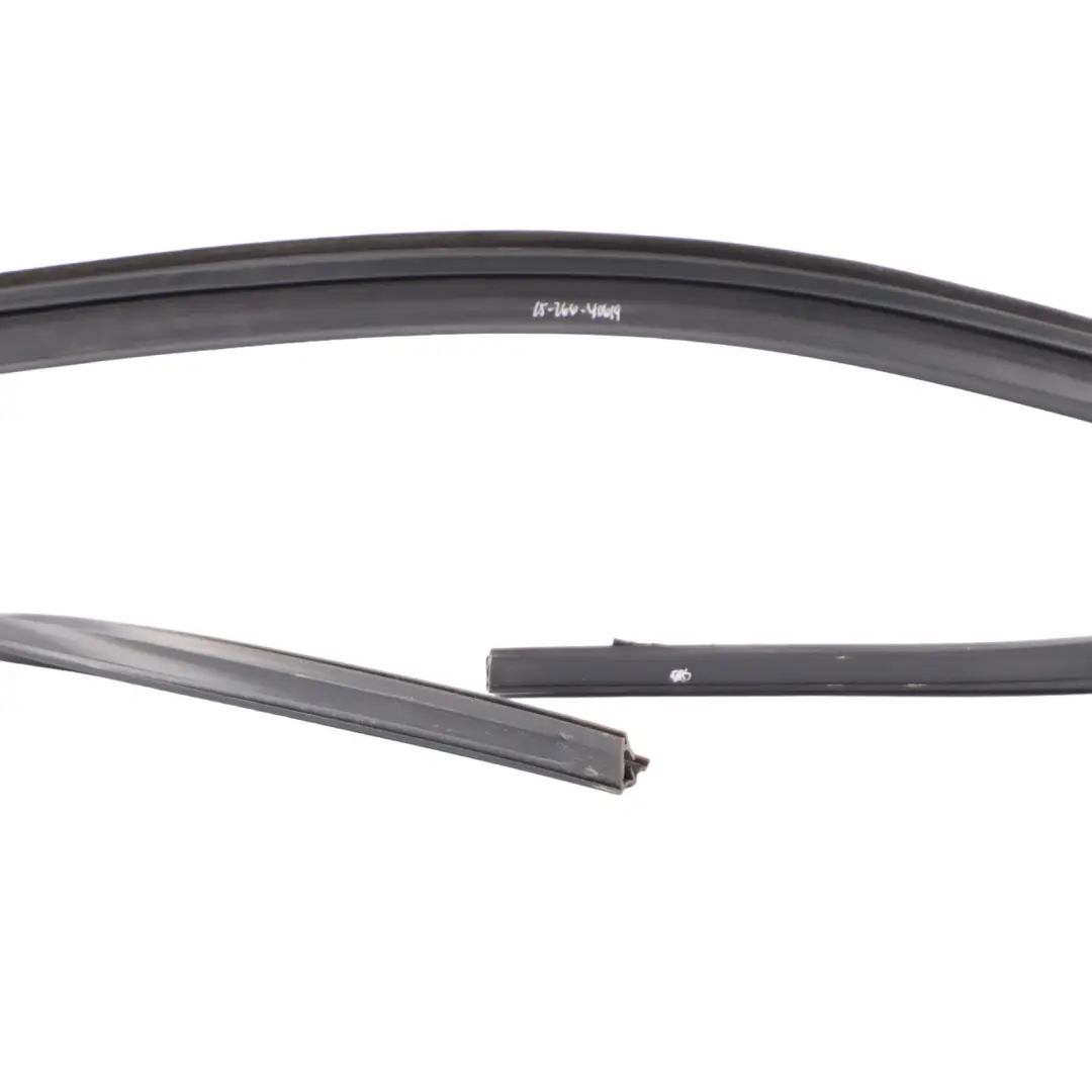 BMW X6 F16 Guarnizione Porta Finestra Guida Anteriore Destra Gomma - SKU 7317820 - Numero di parte 7317820