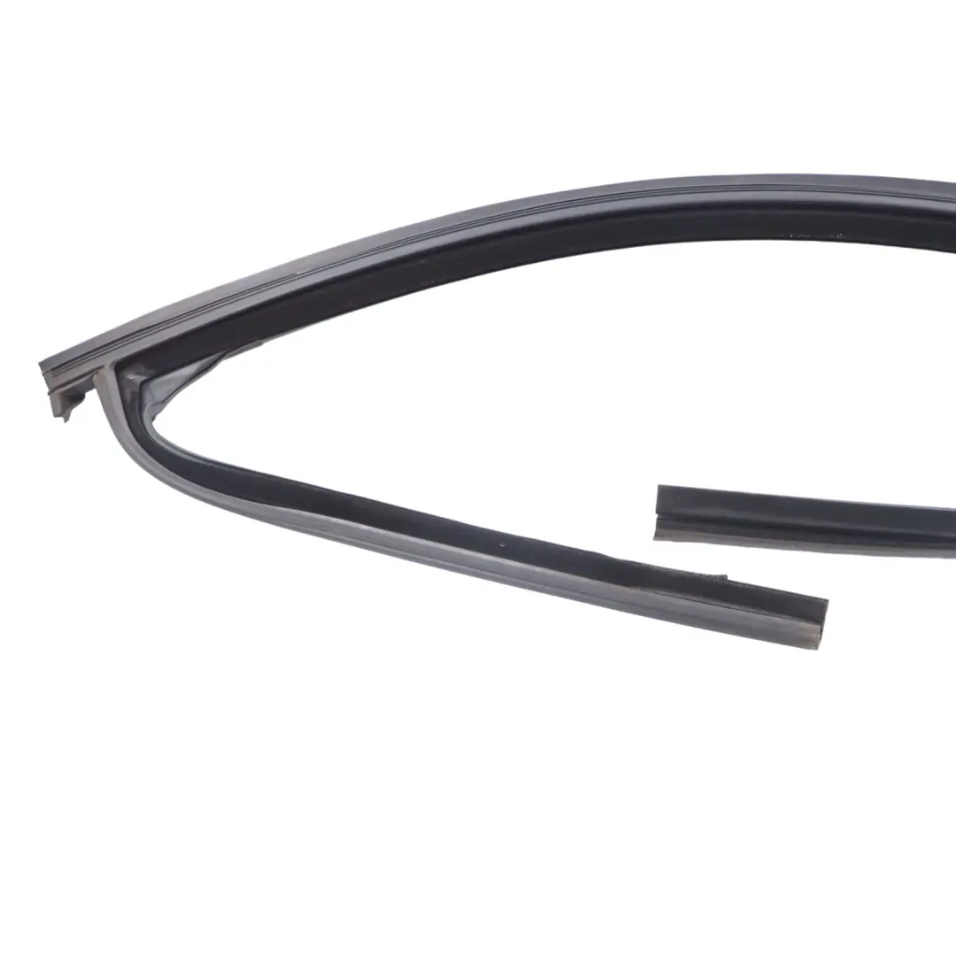 BMW X6 F16 Guarnizione Porta Finestra Guida Anteriore Destra Gomma - SKU 7317820 - Numero di parte 7317820