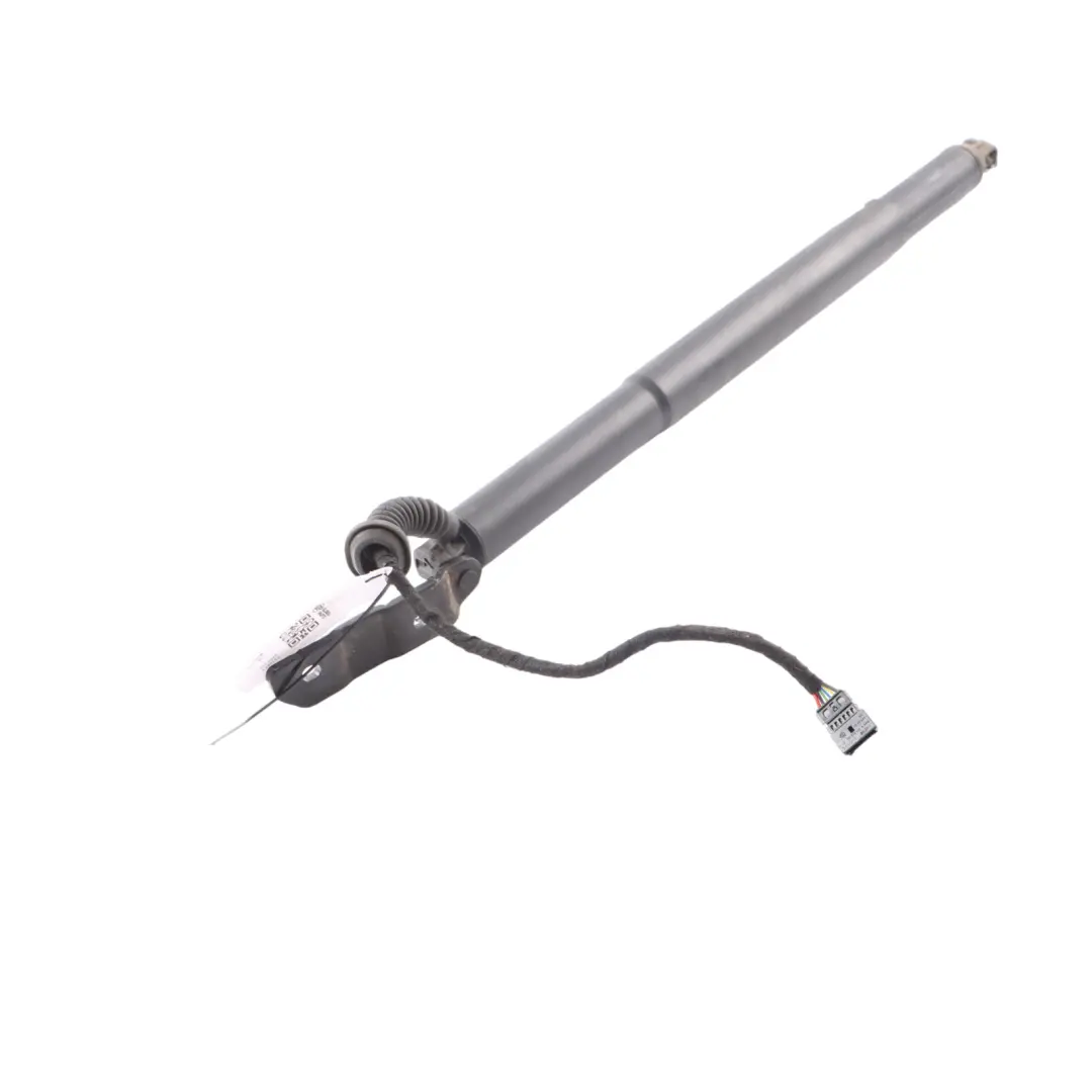 Support Strut Gas Trunk Spring Lid Rear Left N/S 7228501 to BMW F13 Tailgate with Part number 7318651 BMW F13 Tailgate Support Strut Gas Trunk Spring Lid Rear Left N/S 7228501 - SKU 7318651 - Part number 7318651