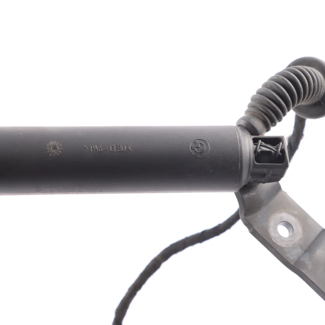 BMW F13 Tailgate Support Strut Gas Trunk Spring Lid Rear Left N/S 7228501 - SKU 7318651 - Part number 7318651