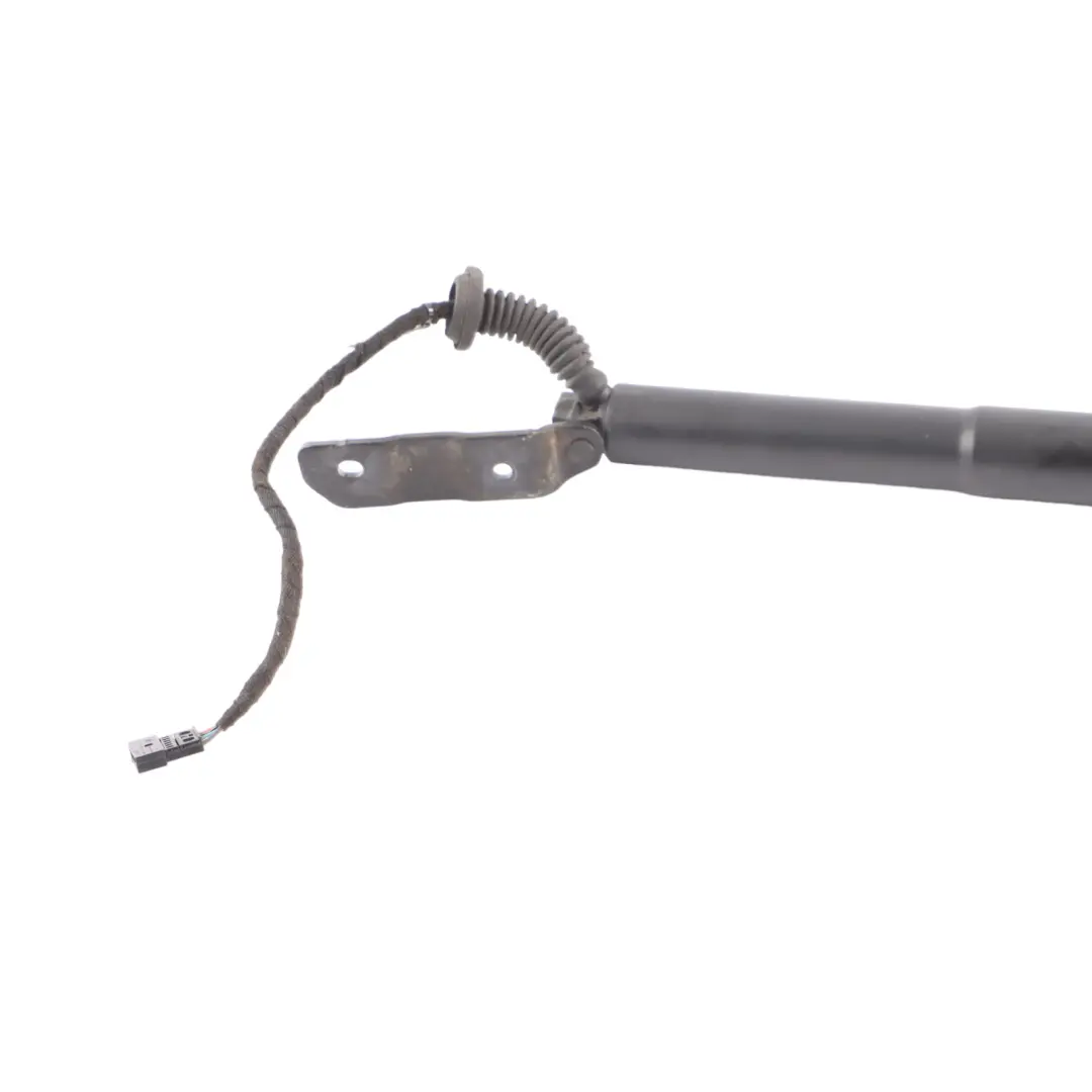 Support Strut Gas Trunk Spring Lid Rear Left N/S 7228501 to BMW F13 Tailgate with Part number 7318651 BMW F13 Tailgate Support Strut Gas Trunk Spring Lid Rear Left N/S 7228501 - SKU 7318651 - Part number 7318651