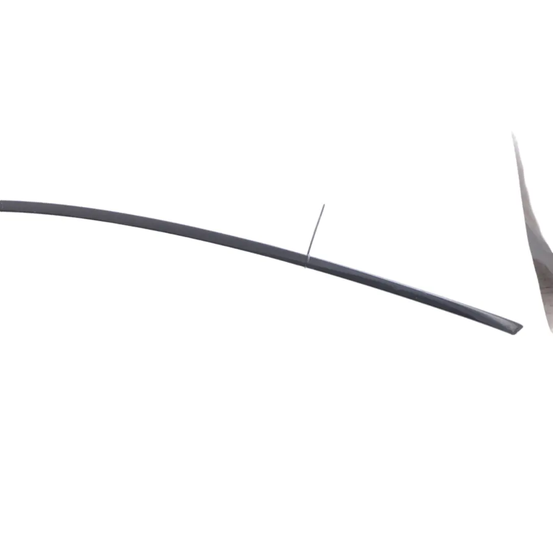 Finestra Striscia Trim Porta Anteriore Destra Guarnizione per BMW X6 F16 F86 con numero di parte 7377884 BMW X6 F16 F86 Finestra Striscia Trim Porta Anteriore Destra Guarnizione - SKU 7377884 - Numero di parte 7377884